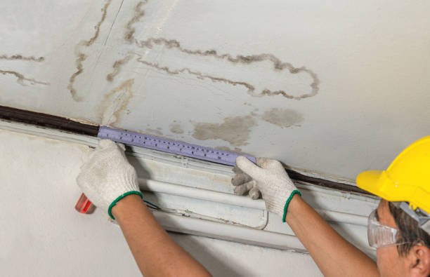 Reliable Water Damage contractor in Spotswood, NJ by Water Damage Irwin